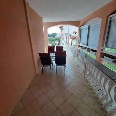 Ivica * 스타리그라드 파클레니차